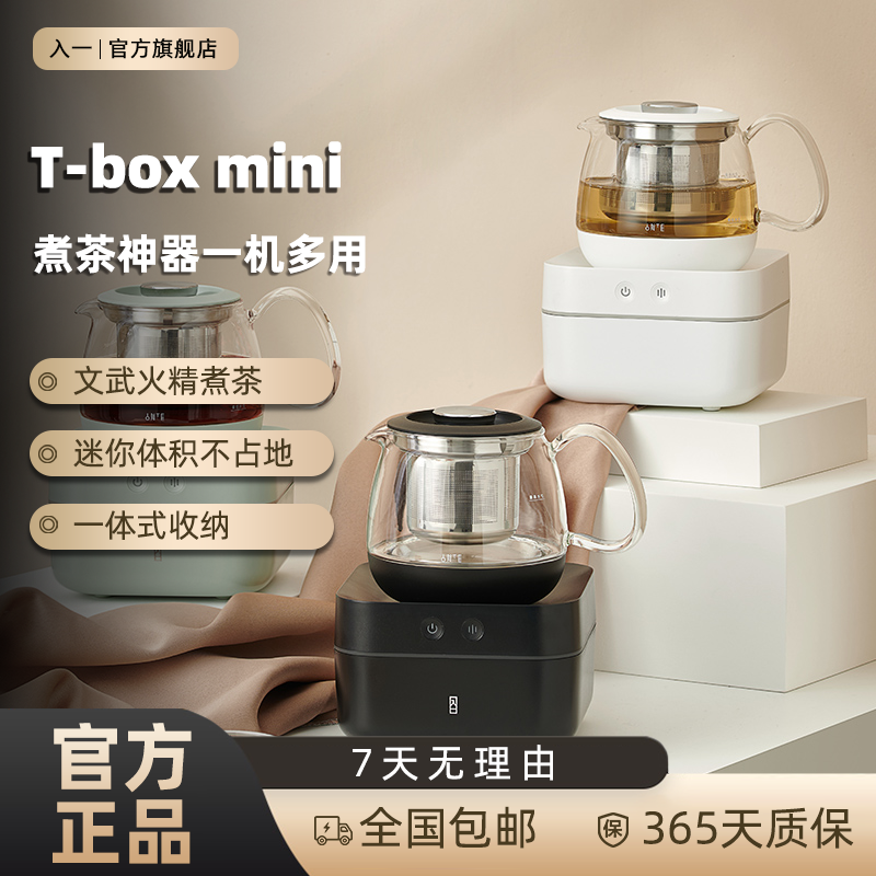 入一多功能养生壶煮茶器