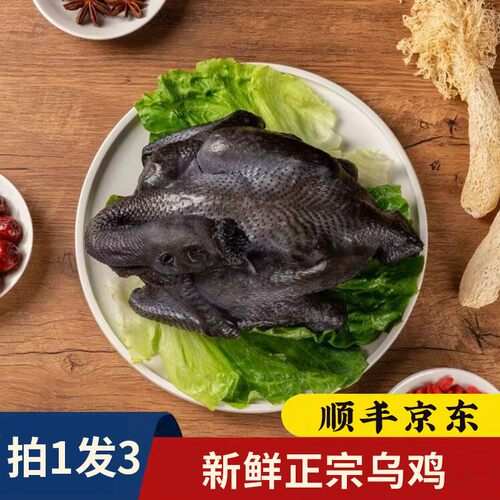 新鲜正宗乌鸡乌骨鸡 冬季滋补炖汤 800g*3只 - 封面