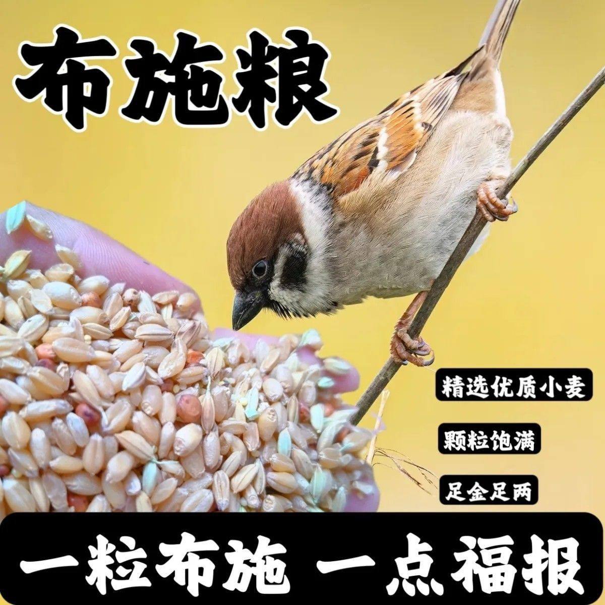 布施鸟食小型鸟粮鸽子粮野外鸟食布施麻雀户外投喂鹦鹉天然粮,宠物/宠物食品及用品,鸟零食,淘宝优惠券,粉丝福利购,淘宝优惠卷