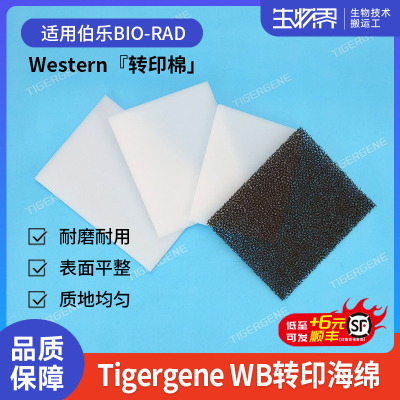 TigergeneWestern转印棉通用