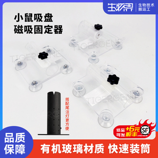 Tigergene小白鼠大鼠固定器带吸盘 小鼠腹部尾静脉注射固定器
