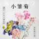 永生花diy材料进口日本大地小蜡菊雏菊30191干花巴西迷你小星花