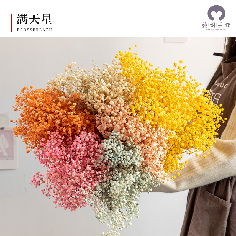 蔓玥 diy香薰蜡牌花材永生花满天星永生花diy材料配材花材1g干 干