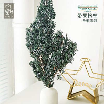 带果松柏干树枝圣诞系列