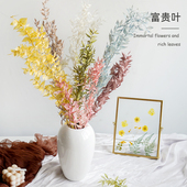 蔓玥 富贵叶永生花diy材料包小尖叶白色配材情人节玻璃罩花材配叶