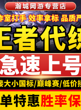 王者荣耀代练打国服大小国标工作室省金标巅峰赛战力上分魔方排位