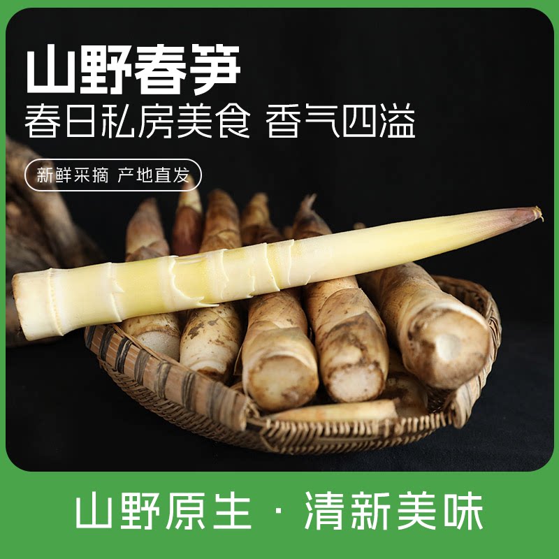 密之蓝天 春笋新鲜冬笋农产品蔬菜现挖现发精选竹笋野生新雷笋1斤