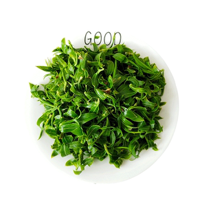 密云本地新鲜柳树芽现摘时令野菜凉拌清新爽口可泡茶200g嫩柳芽菜