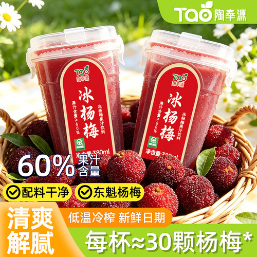 【李佳琪专属】夏日冰杨梅汁纯果汁大容量果汁饮料椰子水西梅汁维