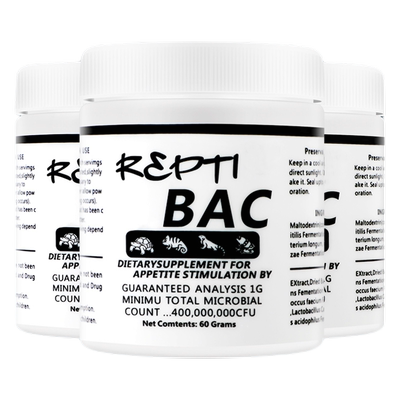 bac肠道益生菌爬虫调理陆龟蜥蜴