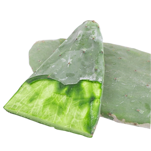 RS仙人掌天然陆龟粮片辐射豹龟整片仙人掌整片可种植