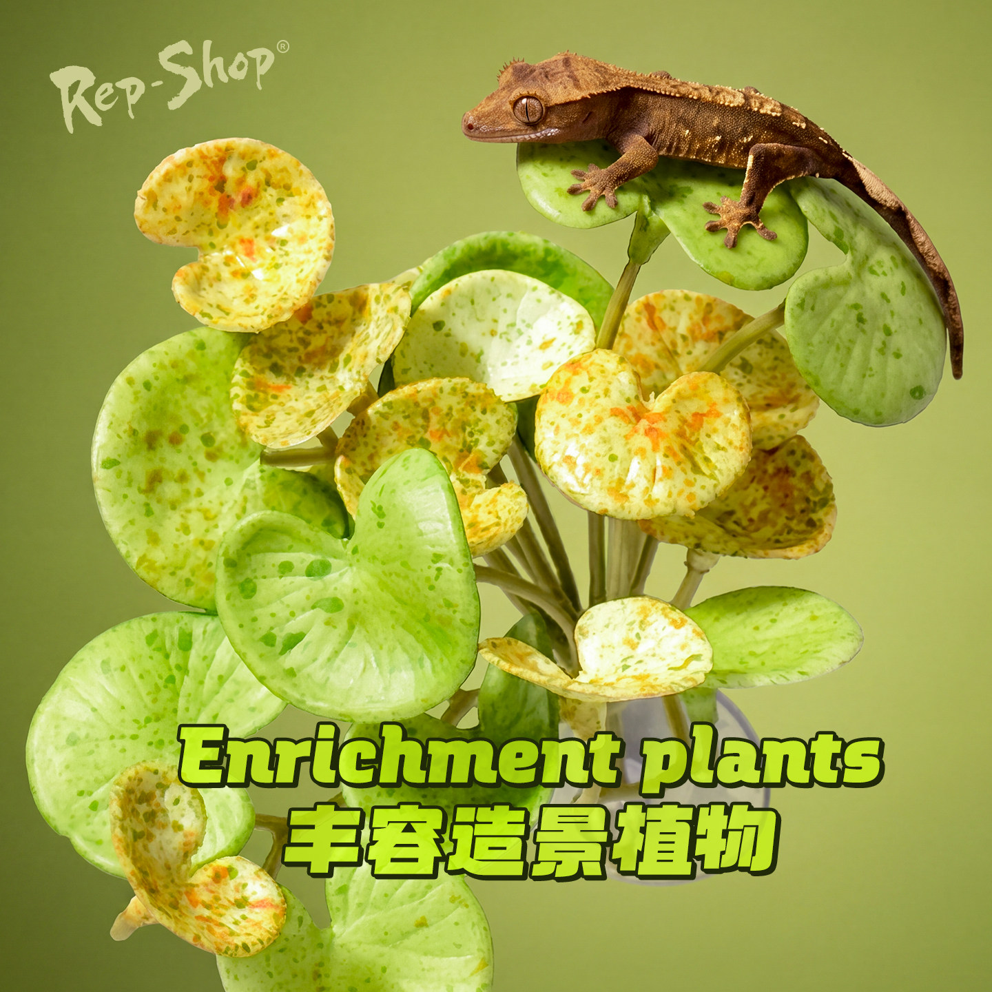 爬宠仿真植物造景装饰睫角守宫蜥蜴蛇饲养箱吸盘款丰容绿植藤蔓