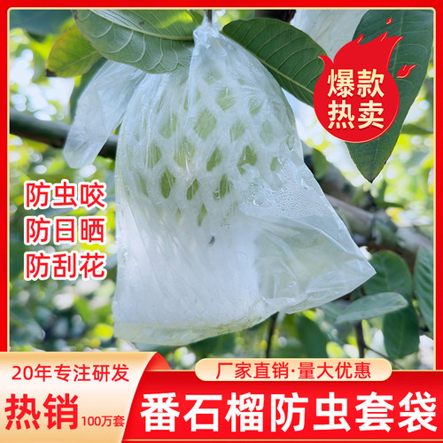 番石榴套袋网袋防虫网专用一体袋