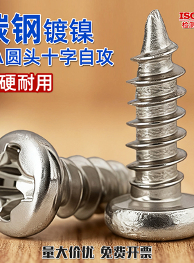 镀镍PA盘头十字自攻小螺丝钉圆头自攻螺栓M2 M2.3M2.6*4x5x6x7GG