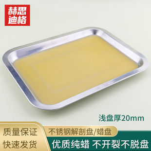 赫思迪格不锈钢解剖盘/蜡盘实验室标本制作工具浅盘190*260*20mmH