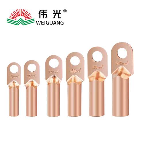 伟光(WEIGUANG)铜接线端子接线端子DT-101个国标A级紫铜10平方单
