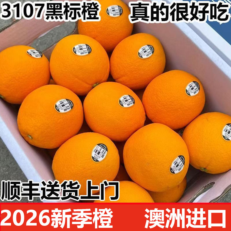 当季时令黑标3107橙子新鲜水果不干水甜脐橙大手剥榨汁橙顺丰包邮图片