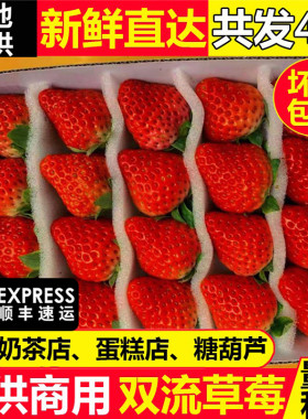 【草莓回购榜推荐】全国包邮