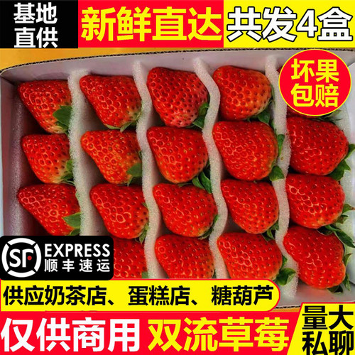 【草莓回购榜推荐】全国包邮