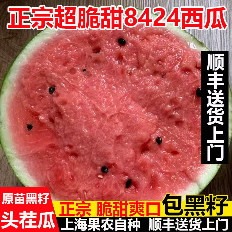 正宗上海发货头茬8424西瓜脆甜黑籽当季红肉麒麟瓜顺丰包新鲜水果