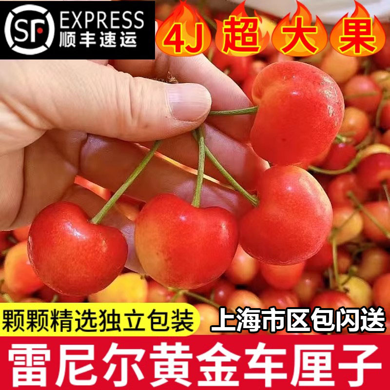 【雷尼尔热销榜推荐】顺丰空运