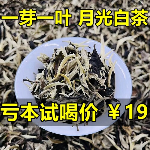 月光白散茶云南古树月光白