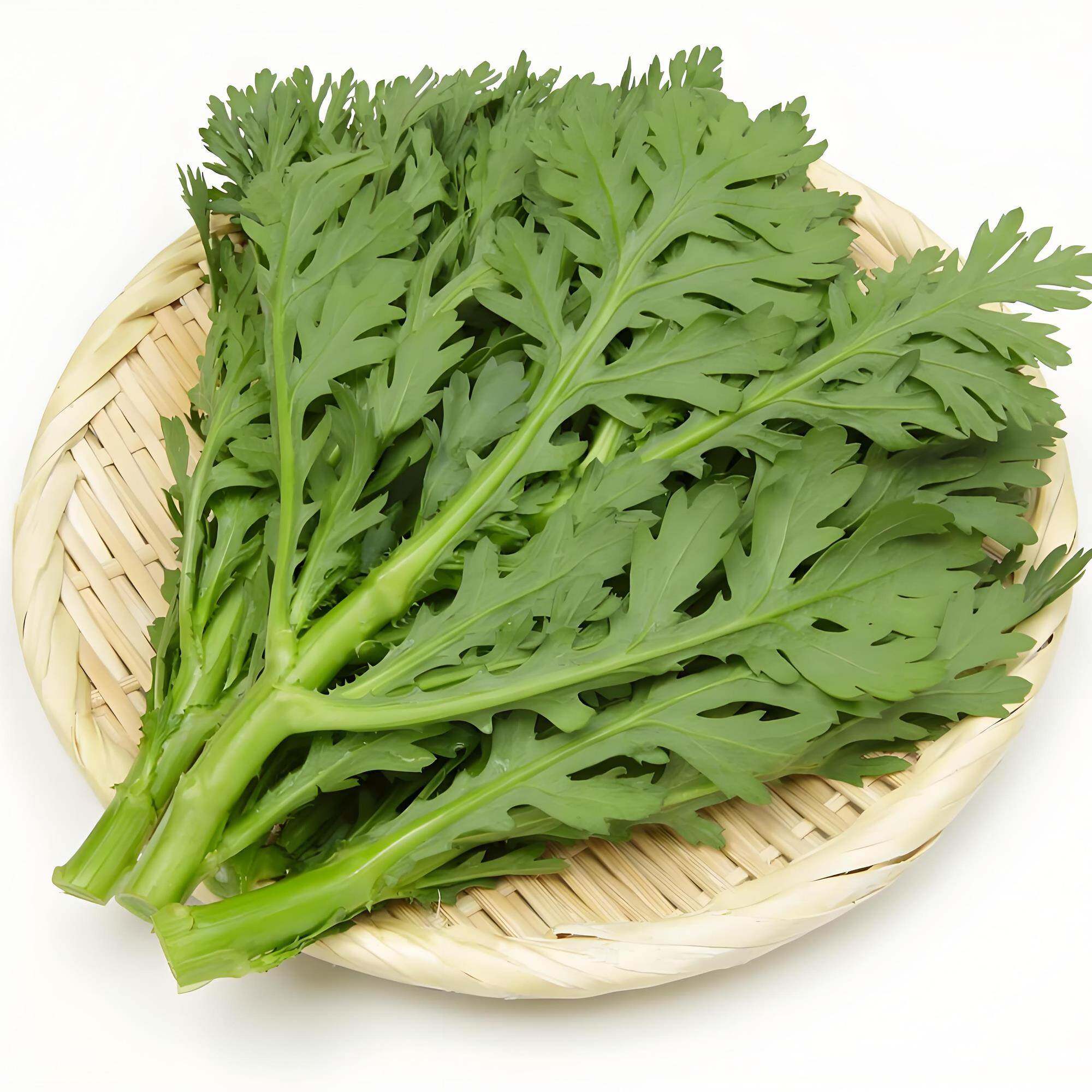 小叶茼蒿种子青菜种籽春菊菜种茼蒿菜种籽种四季蔬菜孑菜籽