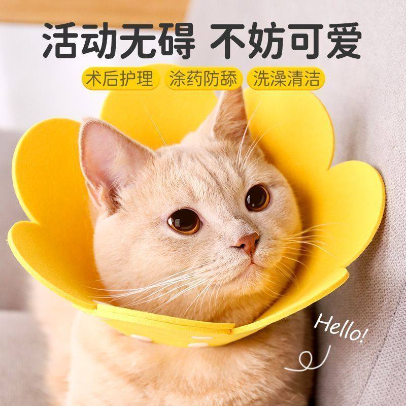 伊丽莎白圈猫咪绝育项圈伊利沙白圈防舔颈圈头套狗狗脖圈宠物新品,宠物/宠物食品及用品,宠物伊丽莎白圈,淘宝优惠券,粉丝福利购,淘宝优惠卷