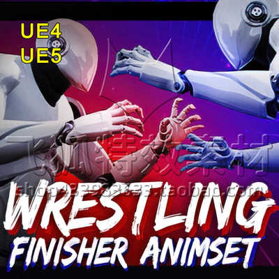 [UE5摔跤终结者战斗动画包] Wrestling Finisher Animset 包更新