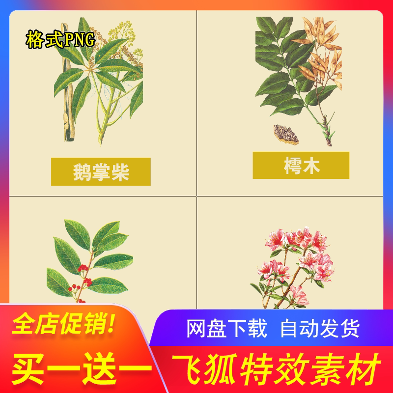 古风草本中药手绘素材PNG素材