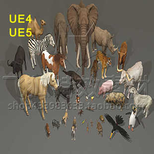 UE5动物模型 Animal Ultra 包更新 Pack