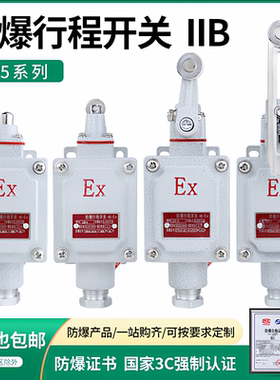 防爆行程开关限位B型DLXK LX5-15B/5d脚踏双踏柱塞lx5-D滚轮Z EX