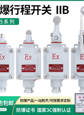 防爆行程开关限位B型DLXK LX5-15B/5d脚踏双踏柱塞lx5-D滚轮Z EX