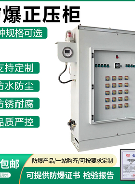 PXK正压防爆柜不锈钢控制配电柜电控箱按钮开关电源操作接线定制