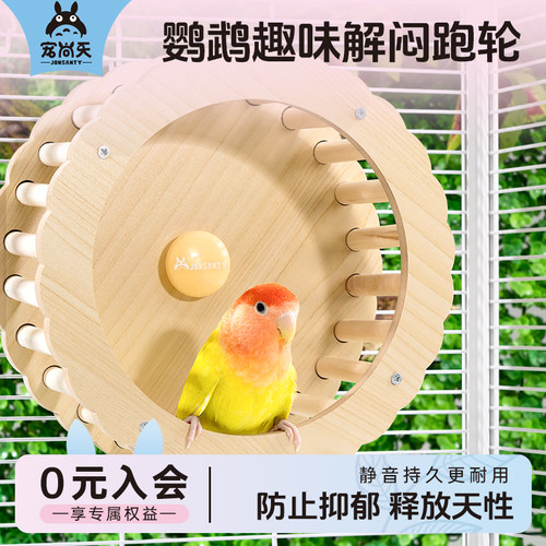 宠尚天鹦鹉跑轮玩具玩耍解闷益智