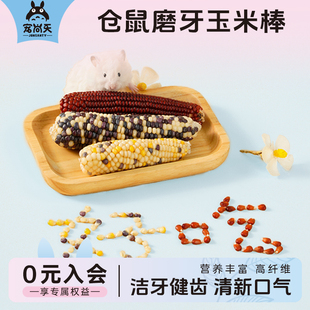 宠尚天仓鼠玉米磨牙棒花枝鼠兔子金丝熊磨牙零食用品粮食大号2支