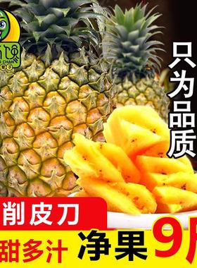海南菠萝9斤新鲜当季水果香水大菠萝手撕无眼波萝整箱10包邮
