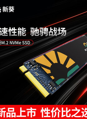 新葵协议固态硬盘pcie