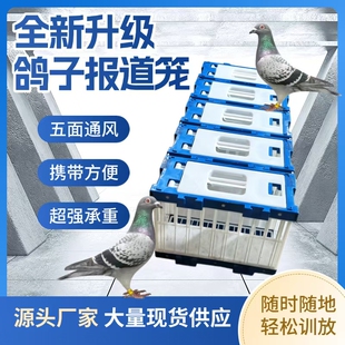 鸽笼鸽子信鸽鸽具赛鸽比赛放笼训放笼塑料放飞鸽子笼报道用品