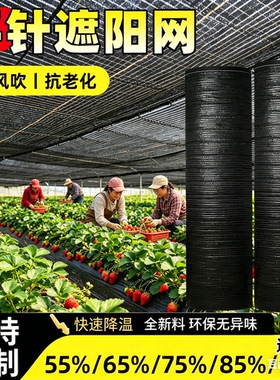 平织黑色遮阳网加密加厚抗老化防晒网大棚户外农用平针遮阴网花卉
