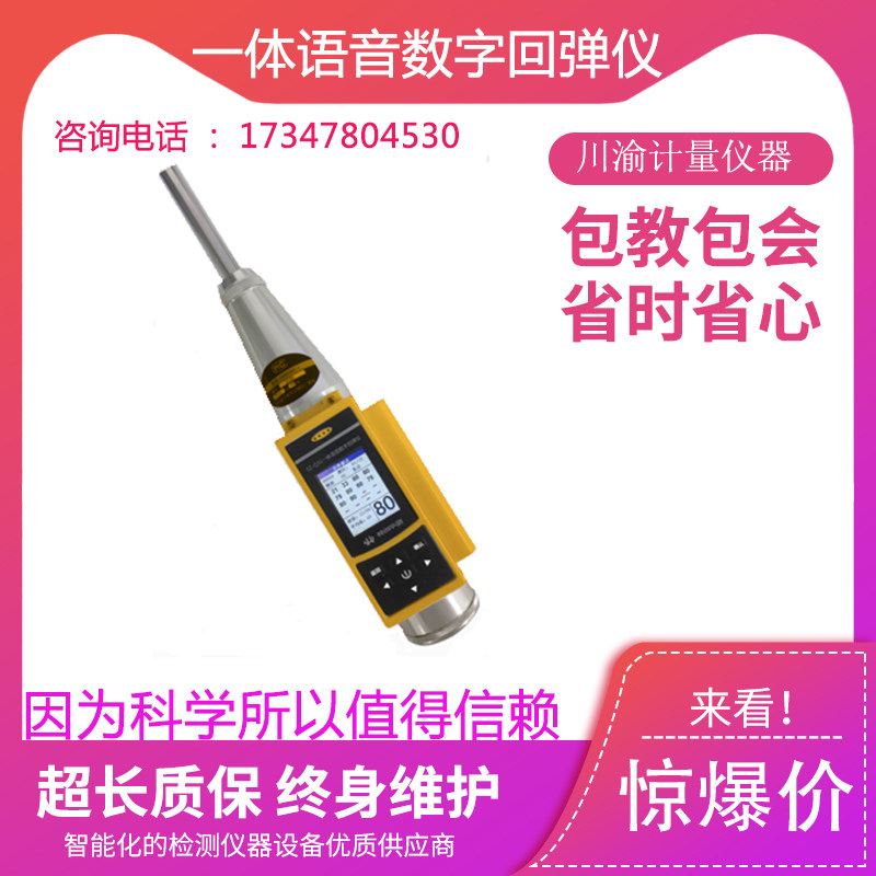北京华测SZ-Q31一体语音数字回弹仪混凝土抗压强度数显回弹仪