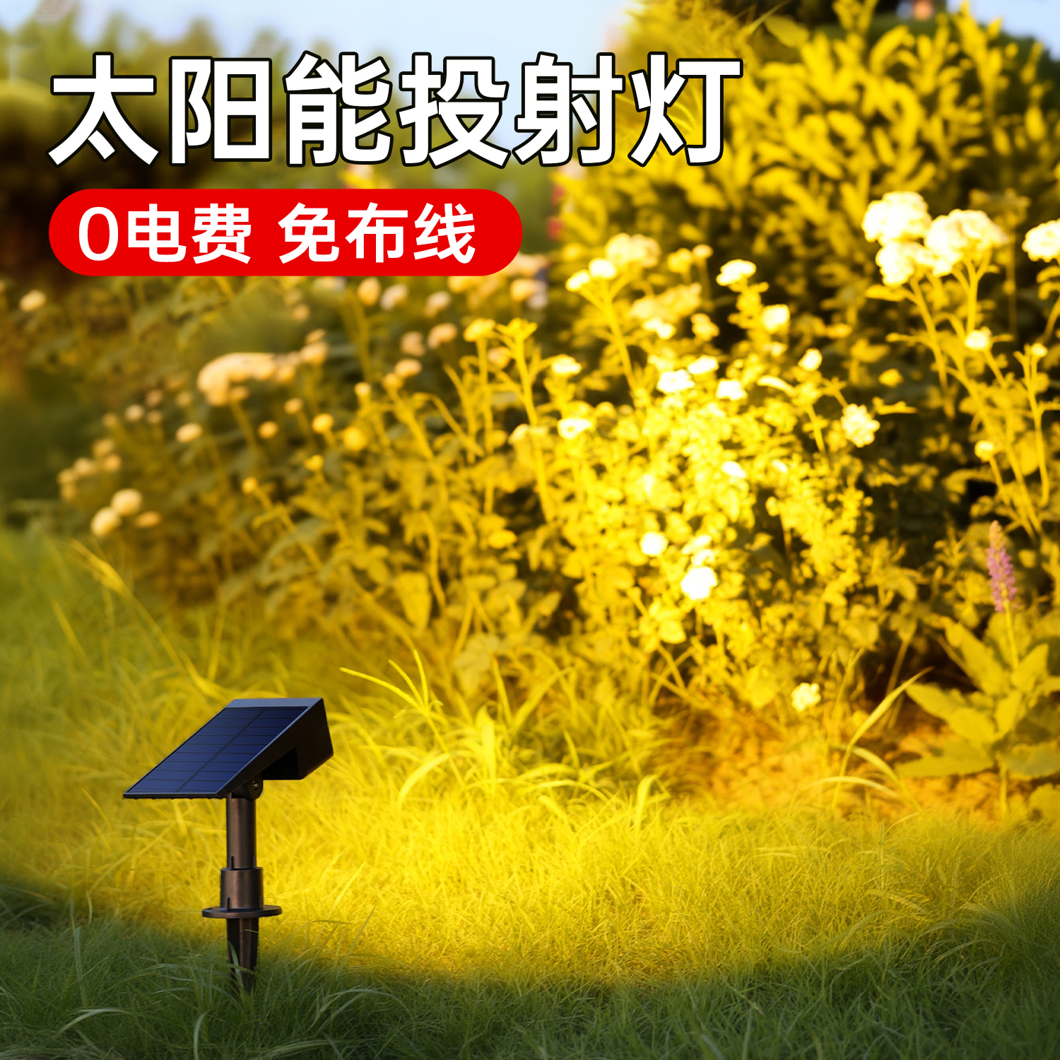 铨阳太阳能草坪射灯植物补光灯