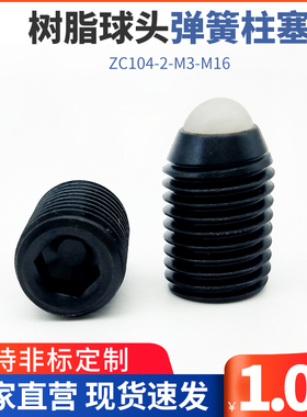 BCNB树脂球头弹簧柱塞 尼龙头波珠螺丝 弹簧定位珠ZC104-2-M3-M16