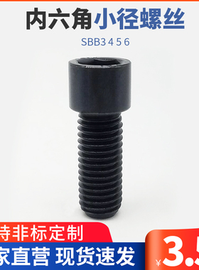 TBH13小径螺栓  内六角小径螺丝 粗牙小径螺栓SBB3 4 5 6 12