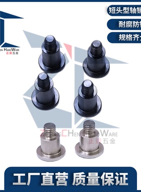 DBTB/DBTM/DBTS 短头型轴销固定螺栓簿头台阶支点螺丝MJT21/22/26