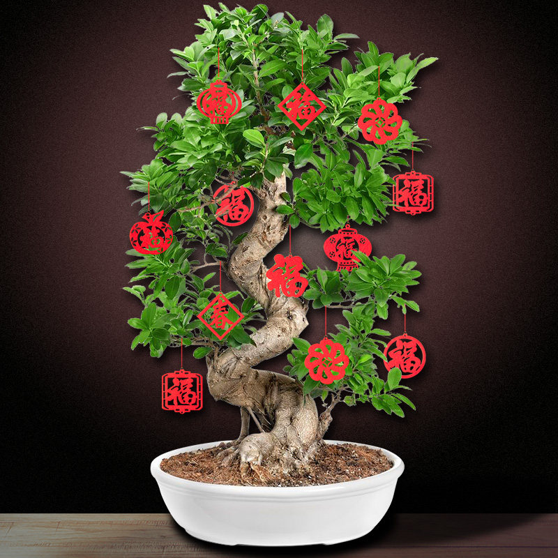 发财树装饰品盆栽盆景小挂件新年吊饰春节过年装饰毛毡挂