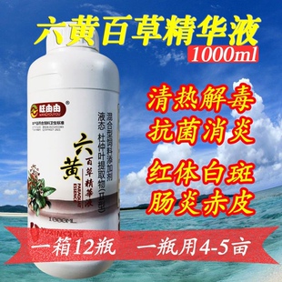 六黄精华液水产养殖六黄保肝利胆鱼虾蟹肠炎烂腮出血五黄抗毒液