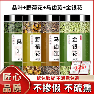 桑叶野菊花马齿苋金银花正品中药材菊花桑叶粒茶旗舰店非特级野生