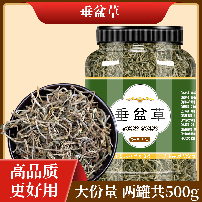 垂盆草中药材的功效与作用正宗锤盆草药用食用泡茶干货非野生特级-封面