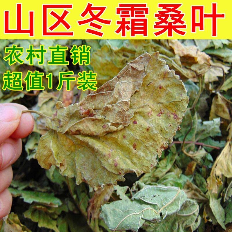 野生桑叶茶正品桑叶茶泡茶泡水喝桑叶茶新货桑叶茶无硫无添加